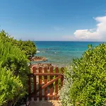 Sassicaia By Interhome